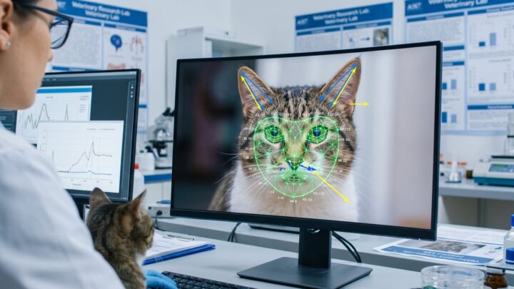 Your Cat Can Hide Its Pain From You. AI Is Learning to See It.